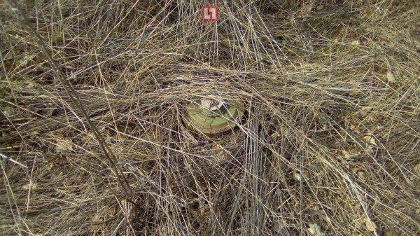 В сеть попали фото из мобильников ДРГ Украины В сеть попали фото из мобильников ДРГ Украины