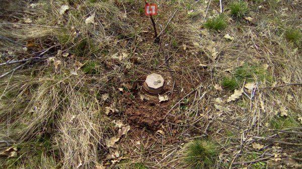 В сеть попали фото из мобильников ДРГ Украины В сеть попали фото из мобильников ДРГ Украины