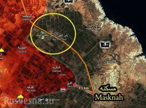 «Тигры» и ВКС РФ прорывают оборону ИГИЛ, освобождая 12 посёлков в Алеппо «Тигры» и ВКС РФ прорывают оборону ИГИЛ, освобождая 12 посёлков в Алеппо