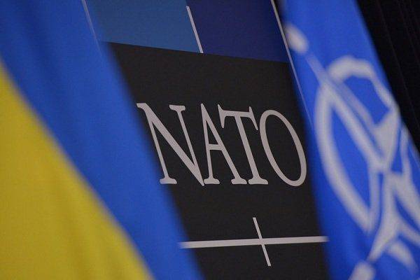 Украина законодательно закрепила курс на НАТО Украина законодательно закрепила курс на НАТО