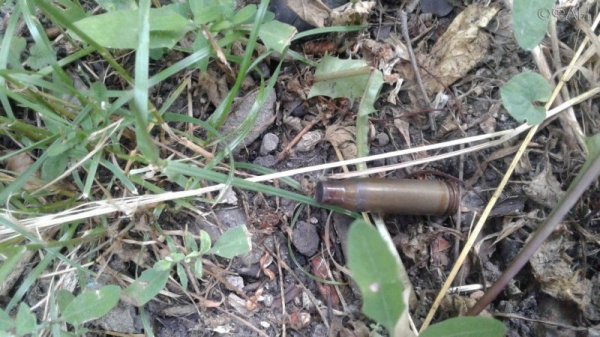 Заказчик нападения на ОБСЕ под Ясиноватой, или Киев опять прокололся! Заказчик нападения на ОБСЕ под Ясиноватой, или Киев опять прокололся!