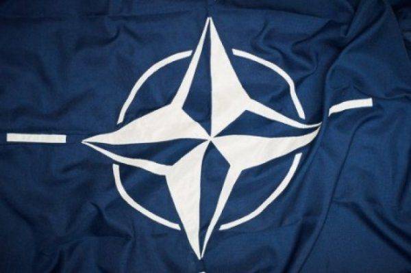 НАТО вместо АТО: Главком Порошенко хочет передать Альянсу опыт украинских «перемог»   НАТО вместо АТО: Главком Порошенко хочет передать Альянсу опыт украинских «перемог»