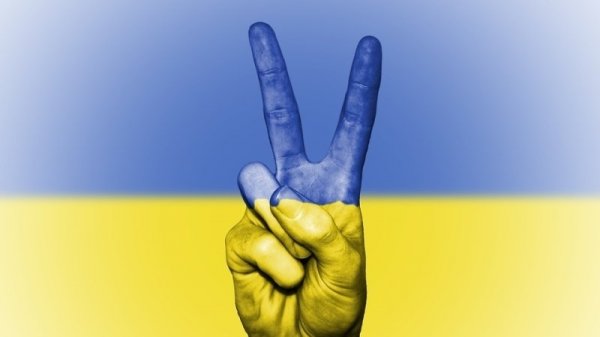 Госкино Украины заподозрили в миллионных хищениях бюджетных средств Госкино Украины заподозрили в миллионных хищениях бюджетных средств