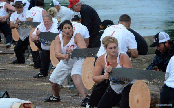 Приключения леса-кругляка. Почем купили Украину Приключения леса-кругляка. Почем купили Украину