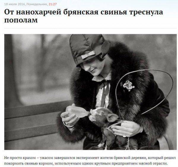 От нанохарчей брянская свинья треснула пополам От нанохарчей брянская свинья треснула пополам