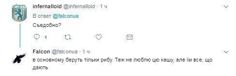 Военный ВСУ показал свой ужин: «Такое кошкам и собакам варил» Военный ВСУ показал свой ужин: «Такое кошкам и собакам варил»