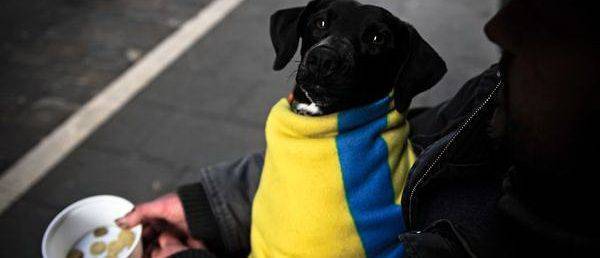 Украина стала зоной оттока инвестиций, населения и финансов Украина стала зоной оттока инвестиций, населения и финансов