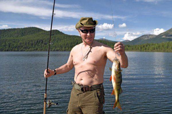 Торс Путина сводит американцев с ума Торс Путина сводит американцев с ума