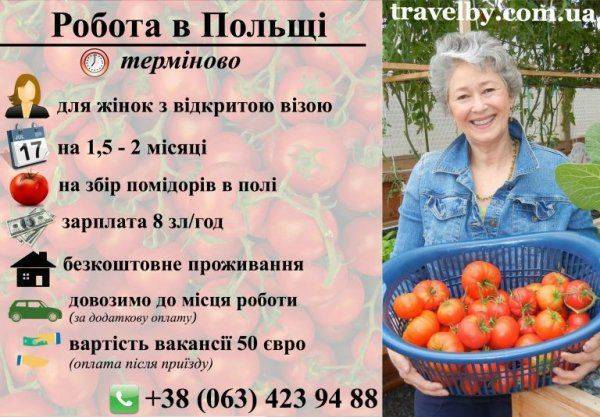 На яблоки в Польшу: «Тут тебе не Майдан!» На яблоки в Польшу: «Тут тебе не Майдан!»