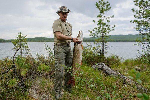 Путин назначил пойманную им щуку полпредом президента в Сибирском федеральном округе