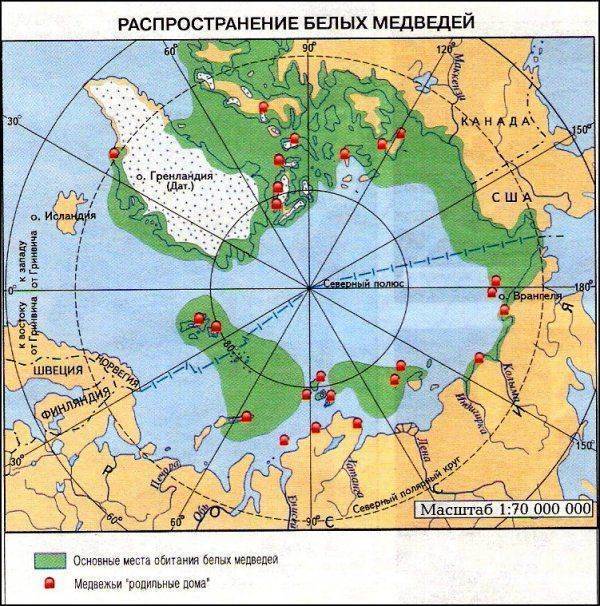 Русские, кто вы? И где вы?! Русские, кто вы? И где вы?!