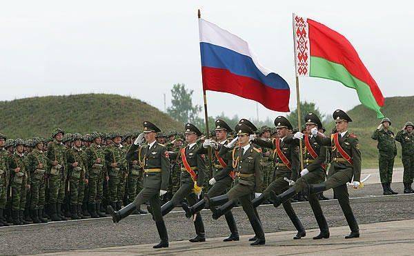 Мыльная опера под грибами Мыльная опера под грибами