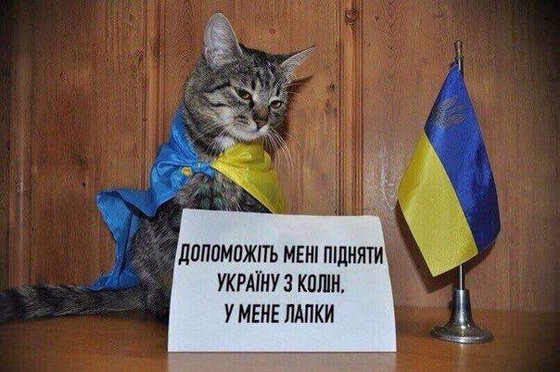 Европа поражена рвущимися "батрачить" миллионами украинцев Европа поражена рвущимися "батрачить" миллионами украинцев
