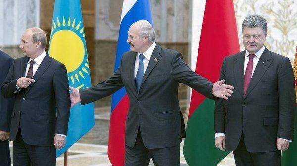 Мыльная опера под грибами Мыльная опера под грибами