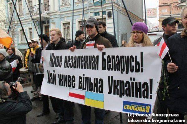Мыльная опера под грибами Мыльная опера под грибами