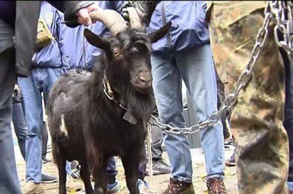 «Великий пропутинский Kozel»: «Азов» мстит Земану за Крым «Великий пропутинский Kozel»: «Азов» мстит Земану за Крым