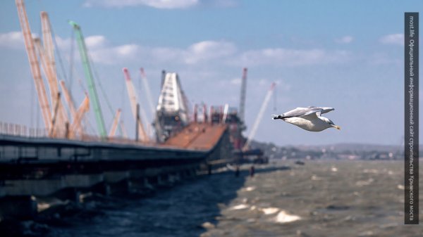 Сила Керченского моста: NYT констатировали, что про уязвимость русских можно забыть Сила Керченского моста: NYT констатировали, что про уязвимость русских можно забыть