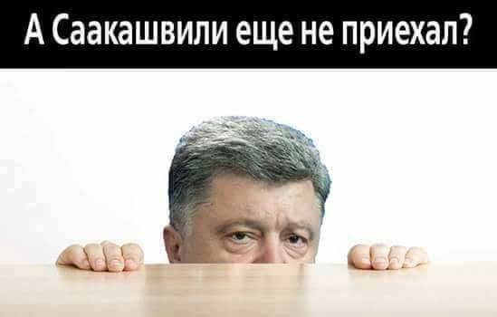 Что будет дальше - Мишку на царство? Что будет дальше - Мишку на царство?