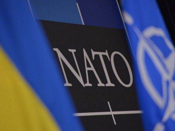 Путь к НАТО: Какие изменения ожидают Службу внешней разведки Украины