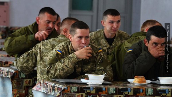 В рационе солдат ВСУ может исчезнуть мясо, которое заменят на сухое молоко В рационе солдат ВСУ может исчезнуть мясо, которое заменят на сухое молоко