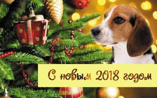 Разное 2018 | Год за годом Разное 2018 | Год за годом