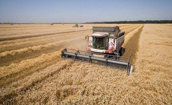 Россия завоевывает пшеничную корону, как во времена СССР