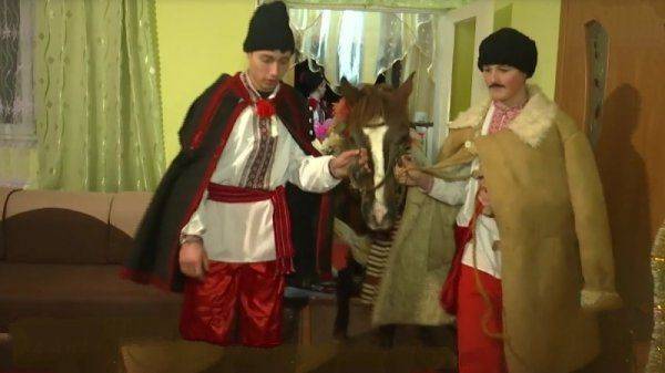 Конь в хату, или Новые традиции галичан Конь в хату, или Новые традиции галичан