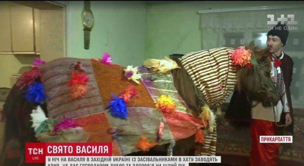Конь в хату, или Новые традиции галичан Конь в хату, или Новые традиции галичан