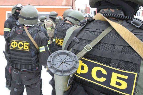 В Нижнем Новгороде нейтрализован готовивший теракт в день выборов член ИГ В Нижнем Новгороде нейтрализован готовивший теракт в день выборов член ИГ