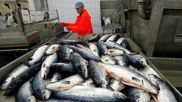 Xinhua: российские деликатесы пользуются особым спросом в Китае накануне праздников Xinhua: российские деликатесы пользуются особым спросом в Китае накануне праздников