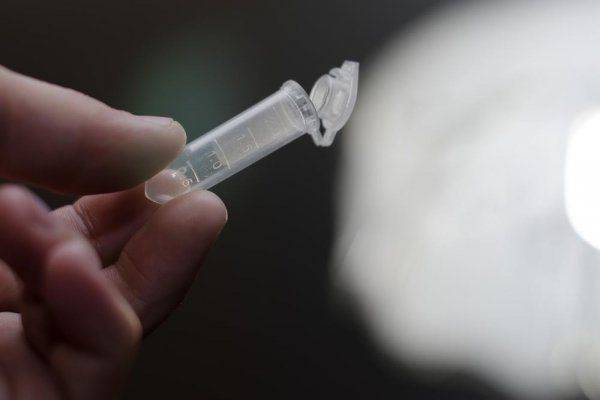 Политика и очковтирательство: немцы рассказали об отстранении сборной России Политика и очковтирательство: немцы рассказали об отстранении сборной России