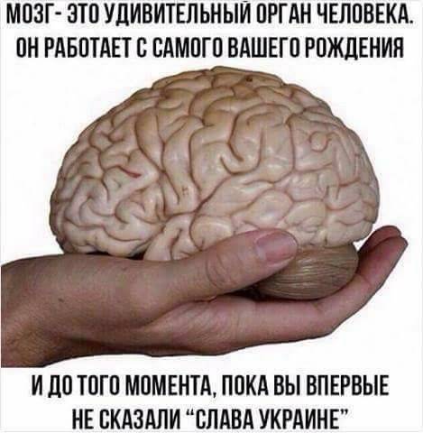 Киевляне и кыяны: из опыта контактов миров Киевляне и кыяны: из опыта контактов миров