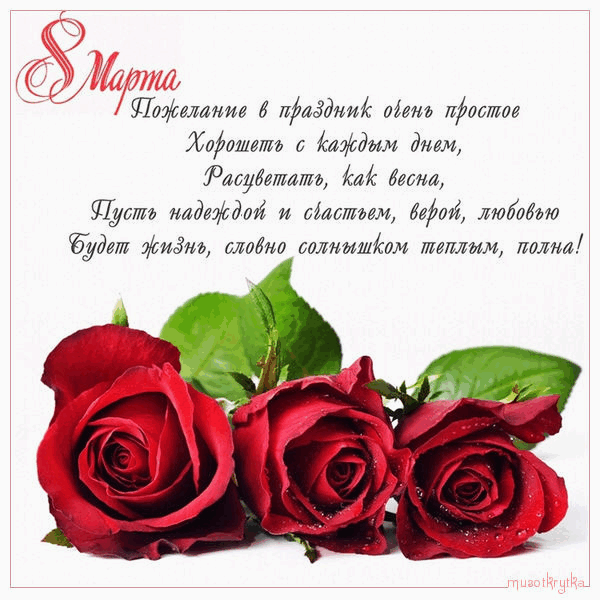 С праздником вас, дорогие женщины! С праздником вас, дорогие женщины!