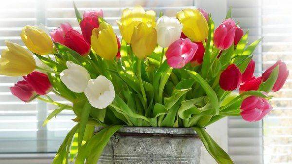 С праздником вас, дорогие женщины! С праздником вас, дорогие женщины!