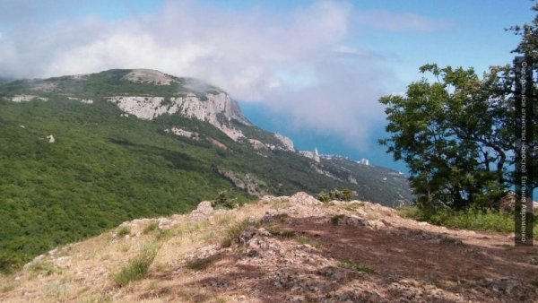 Подсчитаны убытки Украины от потери Крыма и Донбасса Подсчитаны убытки Украины от потери Крыма и Донбасса