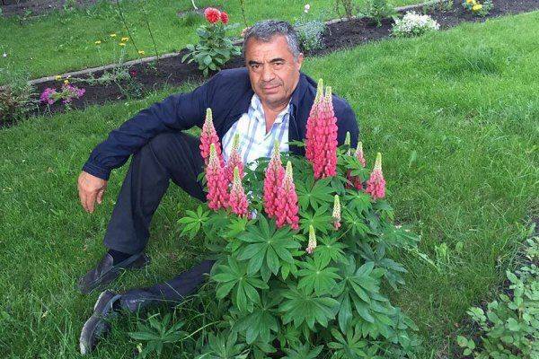 Эхо курдского террора: курды в России держат в страхе Тамбов, Саратов и Адыгею Эхо курдского террора: курды в России держат в страхе Тамбов, Саратов и Адыгею