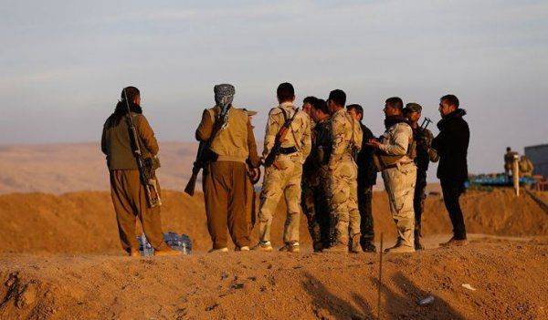 Курды: новая чума современного мира Курды: новая чума современного мира