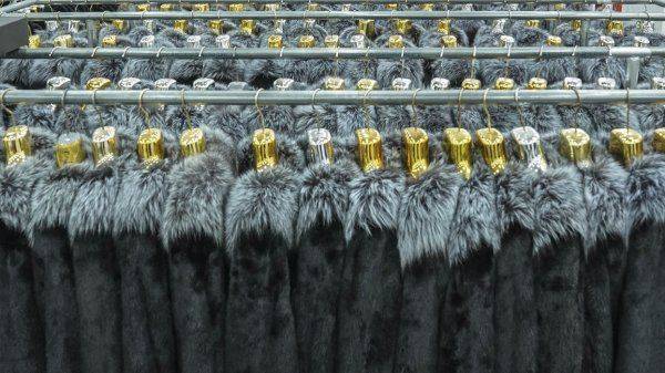 Новый побор с потребителя за борьбу с контрафактом Новый побор с потребителя за борьбу с контрафактом