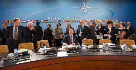 В поисках инструментов сдерживания: украинский кризис выявил раскол между Берлином и НАТО