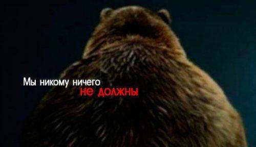 Медведь уже не пьян и никому ничего не должен