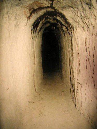 Что искало «Аненербе» на Украине?