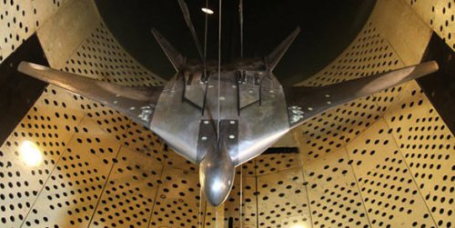 НЕВИДИМКА ЗАМЕНИТ БЕЛОГО ЛЕБЕДЯ