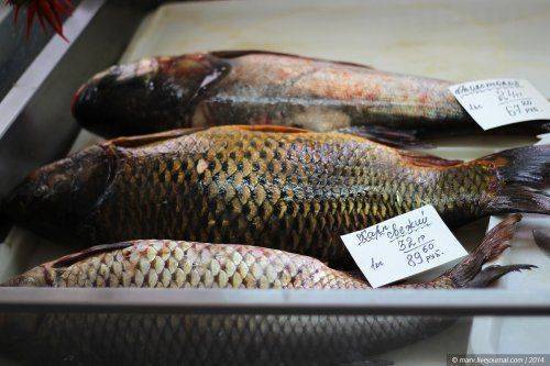 В Крыму мясо от 100 гривень! Глобальное подорожание!