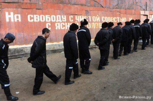 БАТАЛЬОН "ГОП-СТОП": СОЛДАТЫ СВОБОДЫ