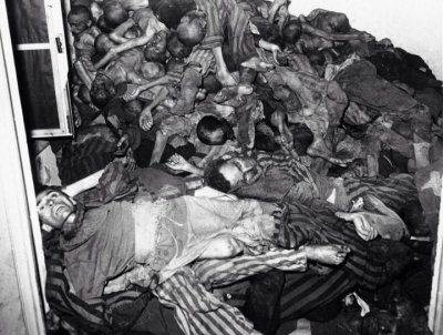 «Украинцы, записывайтесь на работы в Германию!»