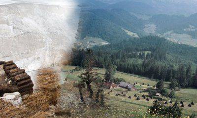 Проблемные горцы