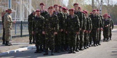 От така бяда пришла во львовские селения - порося не с кем оставить...