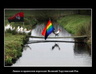 От така бяда пришла во львовские селения - порося не с кем оставить...