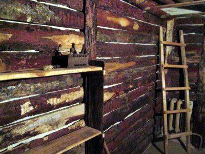 Разведение личинок: Во львовской школе №93 для школьников открыли макет схрона УПА