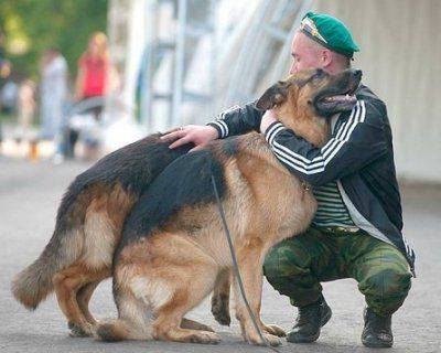 День пограничника